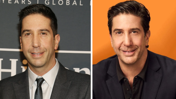 David Schwimmer Net Worth 2025 portrait of the Friends star