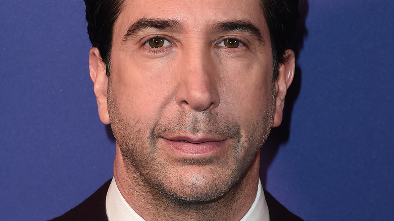 David Schwimmer net worth infographic showing $120 million fortune