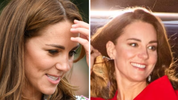 Daniela Elser portrait and biography overview