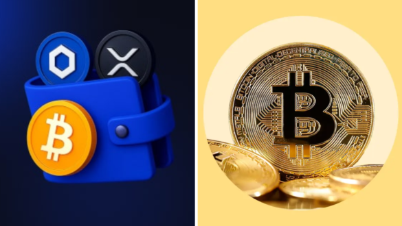 crypto30x.com crypto market insights platform